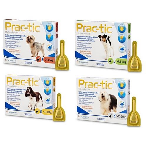 Practic flea treatment cheap for dogs