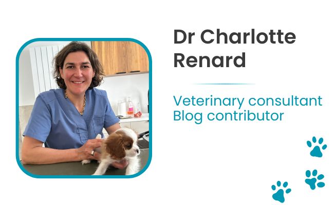 Direct-Vet team